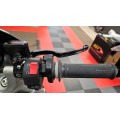 2002 Ducati Monster SENNA BellissiMoto Custom
